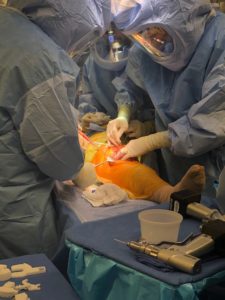 Doctor conducting the operation