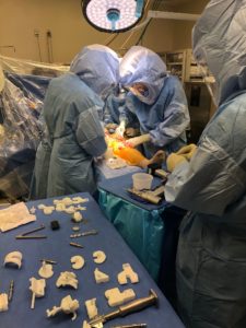 Doctors performing the actual surgery Doctors performing the actual surgery