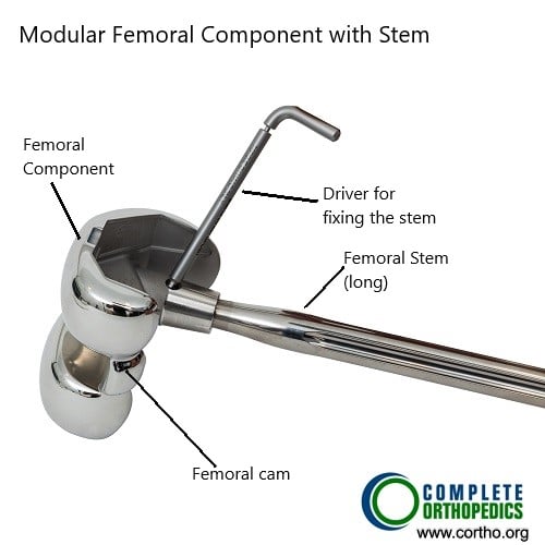 Modular femoral component with stem